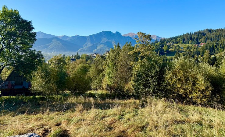 działka na sprzedaż - Zakopane
